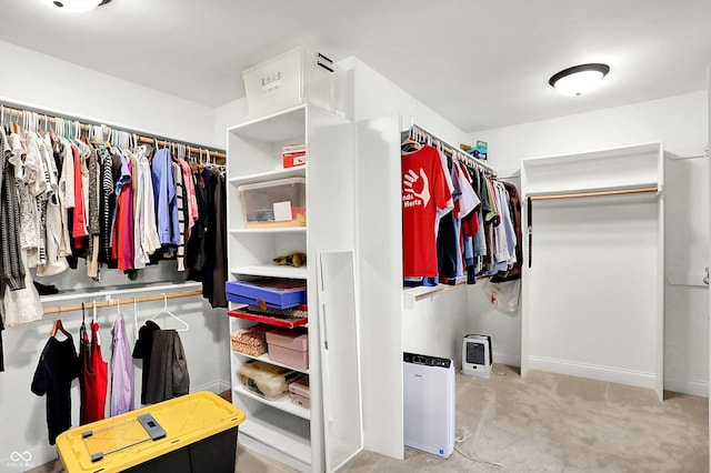 walk in closet featuring carpet flooring