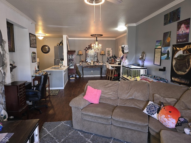 living room with crown molding, a notable chandelier, dark wood finished floors, and a textured ceiling