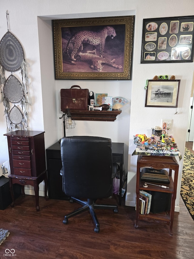 office featuring wood finished floors