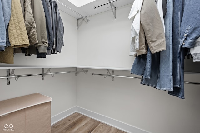 walk in closet featuring wood finished floors