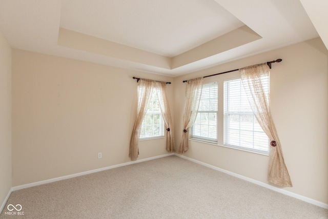 spare room featuring carpet floors, a raised ceiling, plenty of natural light, and baseboards