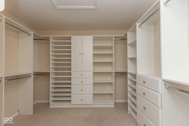 walk in closet with carpet