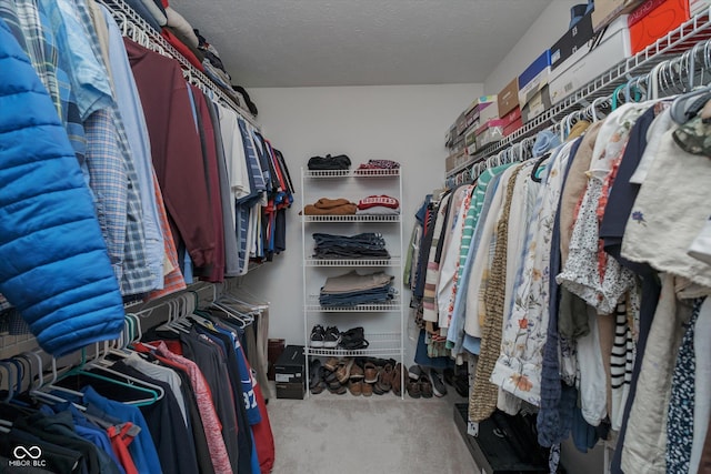 spacious closet with carpet floors