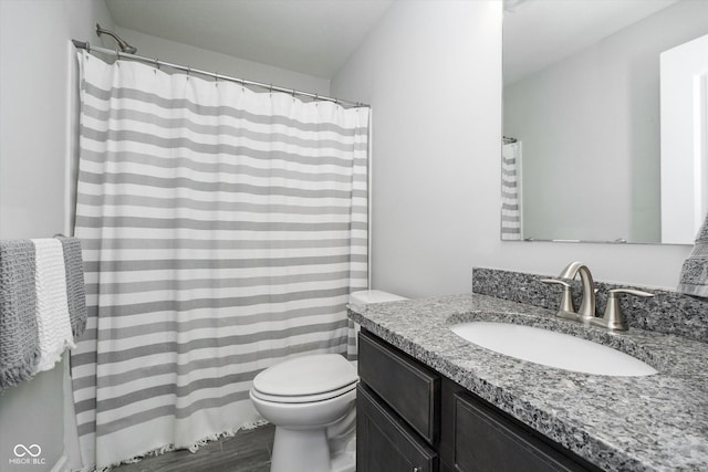 full bathroom with toilet, vanity, and wood finished floors