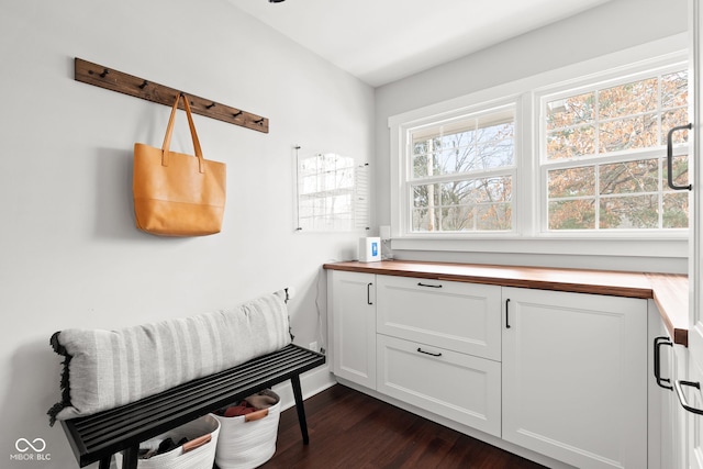 interior space featuring dark wood-type flooring