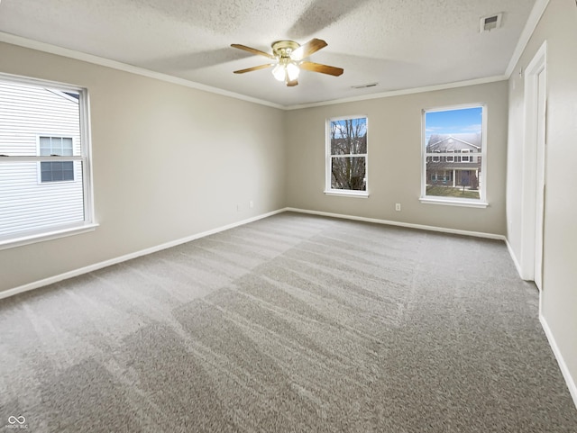 spare room featuring ornamental molding and carpet