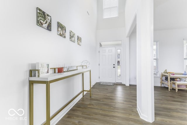 entrance foyer featuring plenty of natural light, wood finished floors, and a towering ceiling