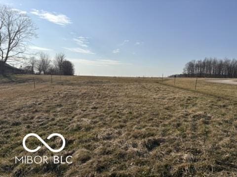 view of yard featuring a rural view