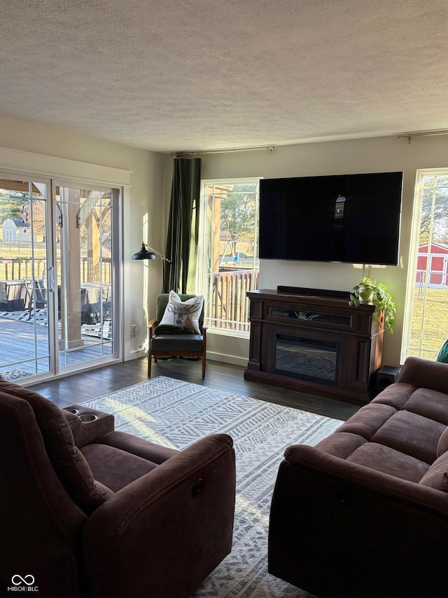 living room featuring a healthy amount of sunlight, wood finished floors, and a glass covered fireplace