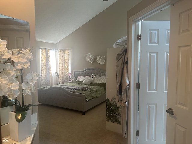 bedroom featuring lofted ceiling and carpet flooring