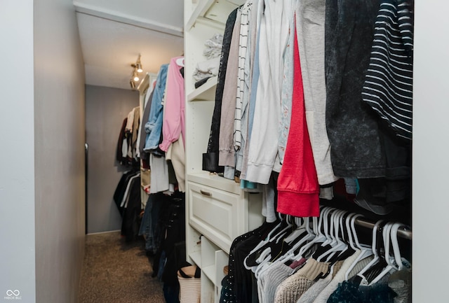 walk in closet featuring carpet flooring