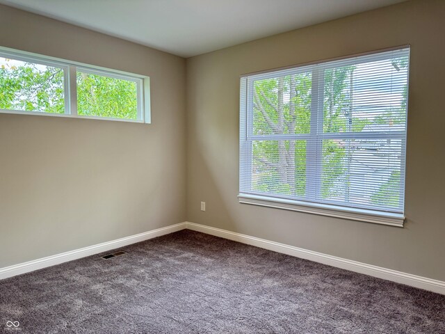 857 N Oakland Ave, Indianapolis, IN 46201 - spare room featuring baseboards, plenty of natural light, and dark carpet