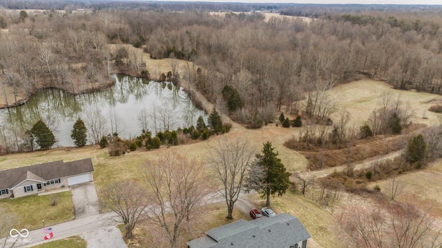 bird's eye view featuring a water view and a wooded view