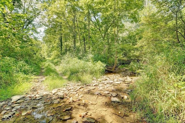 view of nature with a wooded view