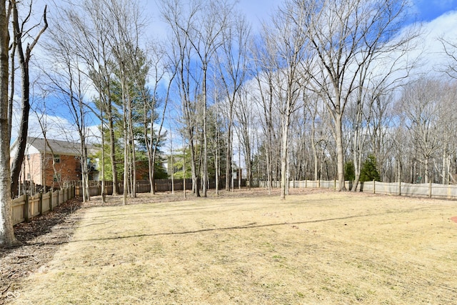 view of yard featuring fence private yard