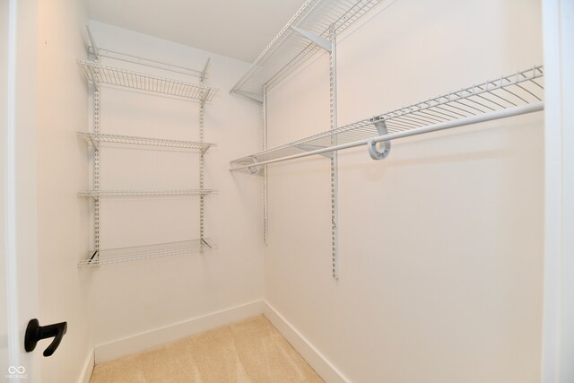 spacious closet with light carpet