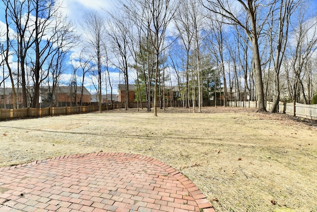 view of yard with a patio area and fence