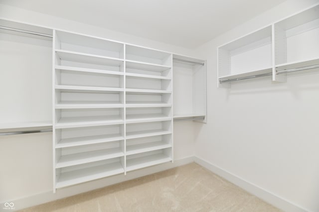 spacious closet featuring carpet