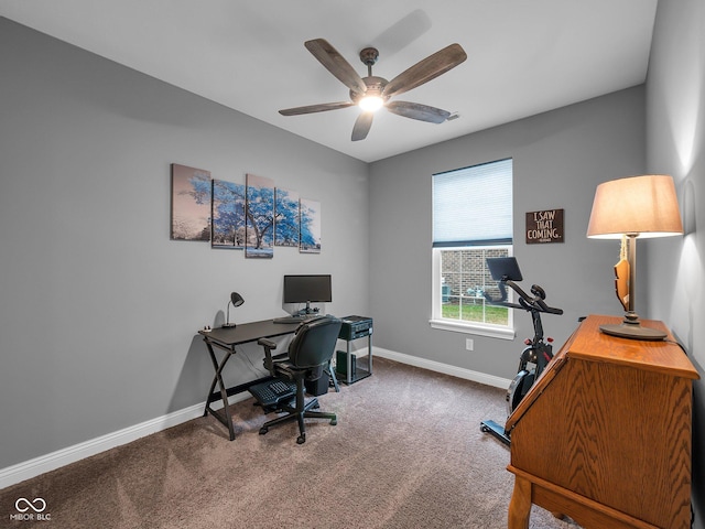 office with carpet, baseboards, and a ceiling fan