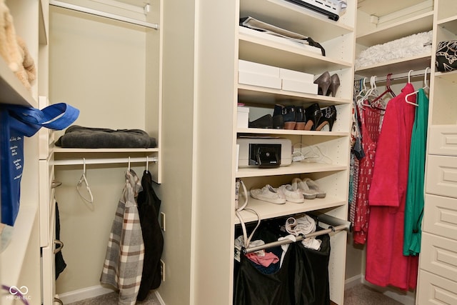 view of spacious closet