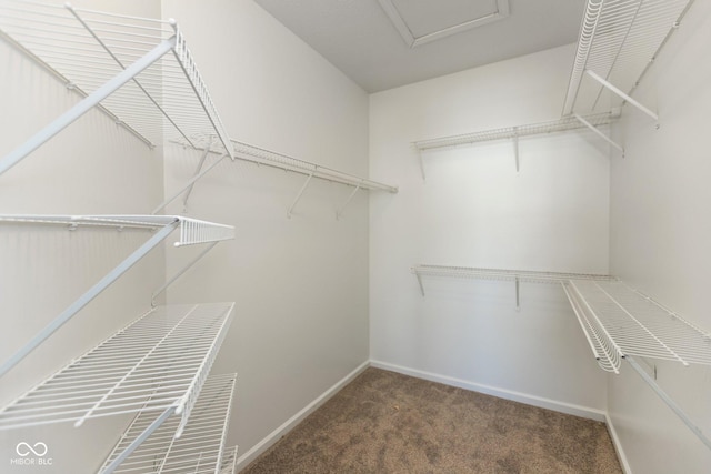 walk in closet with carpet