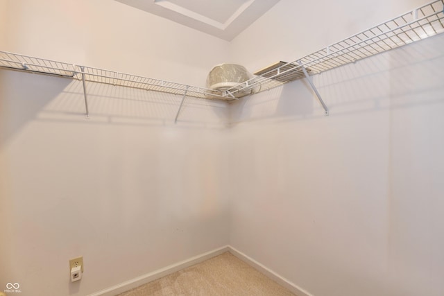 spacious closet featuring light colored carpet