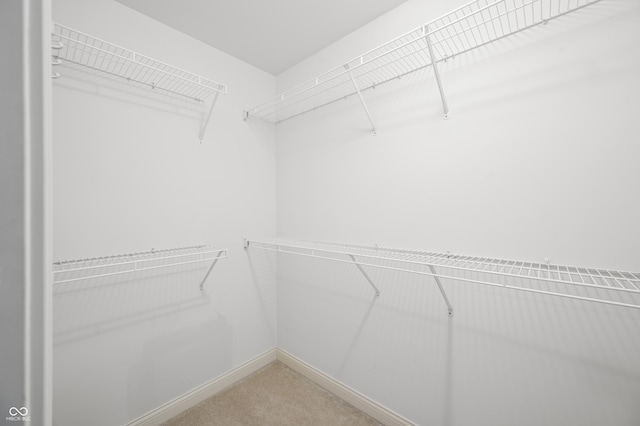 walk in closet with light colored carpet