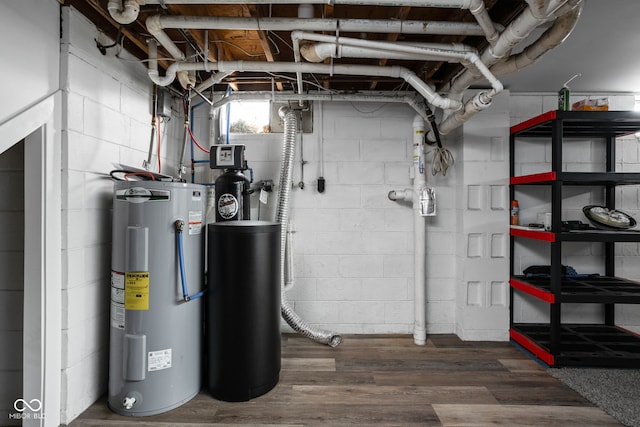 utility room with electric water heater