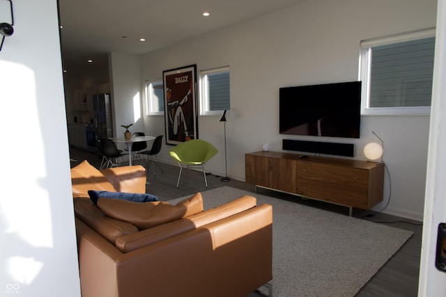 living area with recessed lighting, baseboards, and wood finished floors