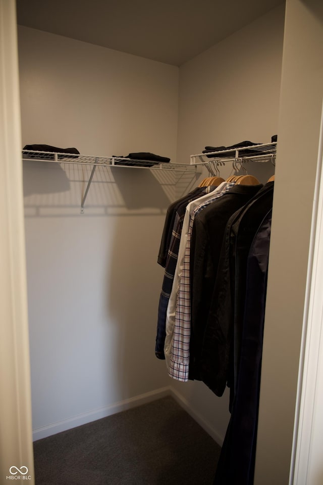 spacious closet featuring carpet