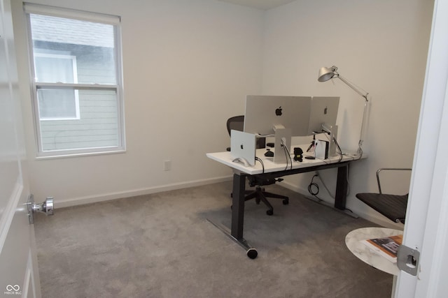 office featuring baseboards and carpet floors