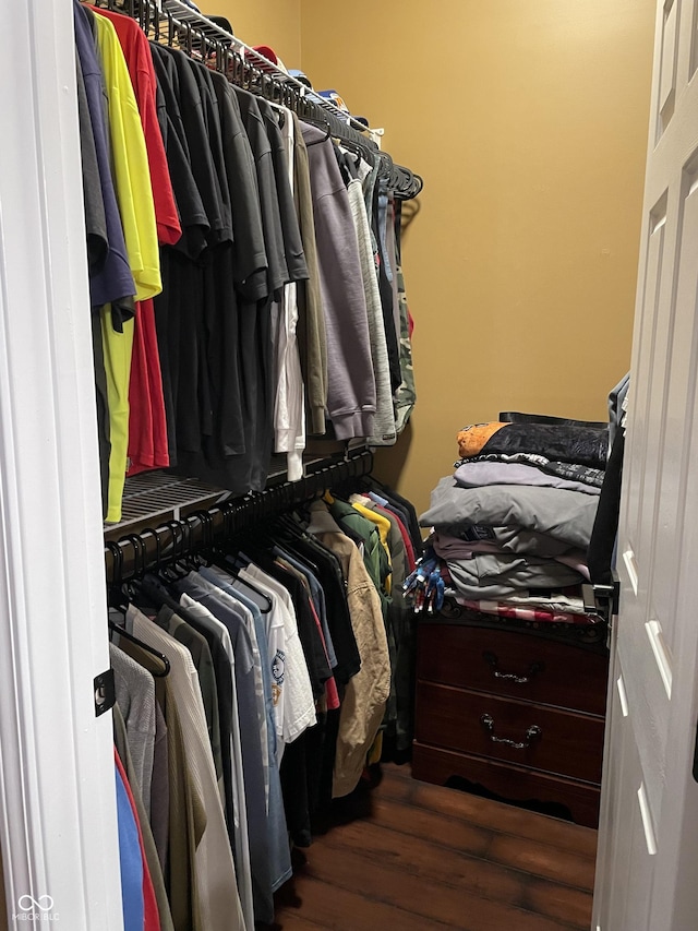 walk in closet featuring wood finished floors