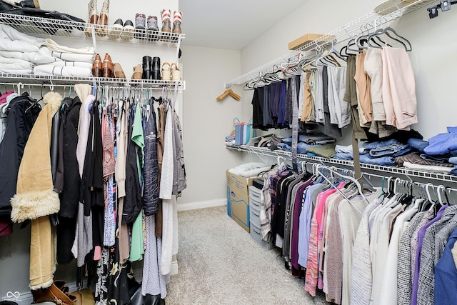 walk in closet with carpet