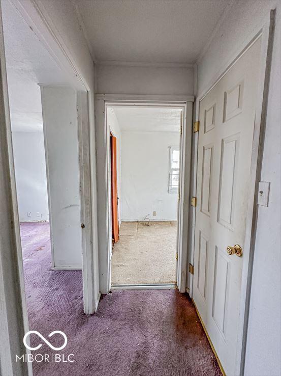 hallway featuring carpet