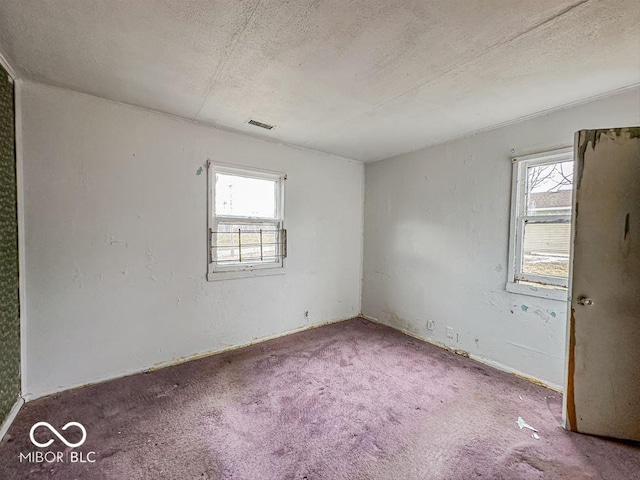 spare room with carpet, visible vents, plenty of natural light, and a textured ceiling