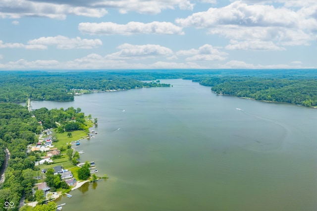 7600 N Blue Heron Dr, Unionville, IN 47468 - drone / aerial view of a forest and a large body of water