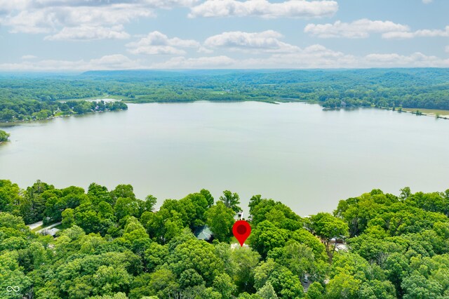 7600 N Blue Heron Dr, Unionville, IN 47468 - drone / aerial view of a forest and a large body of water