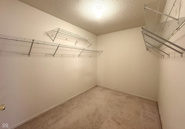 spacious closet featuring light colored carpet