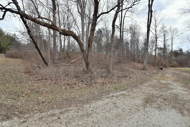 view of local wilderness