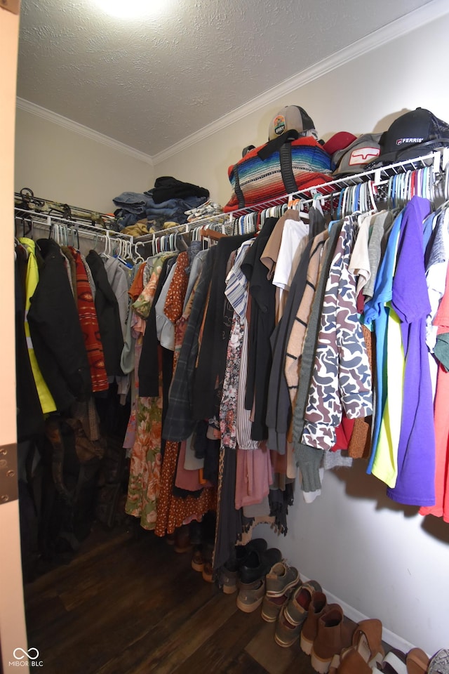 walk in closet with wood finished floors