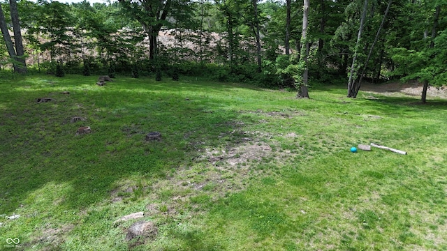 9191 W Mt Carmel Rd, Gosport, IN 47433 - view of green lawn