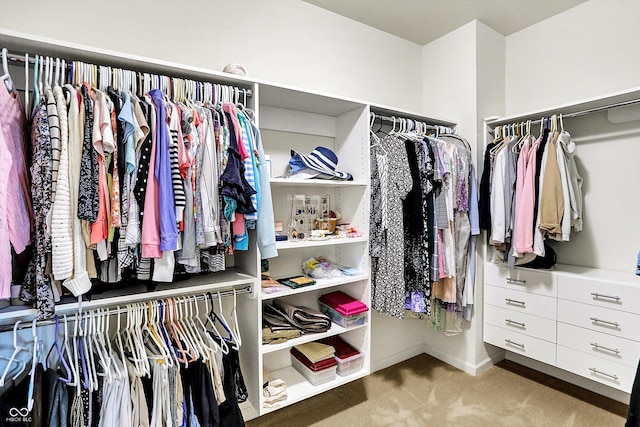 spacious closet with carpet flooring