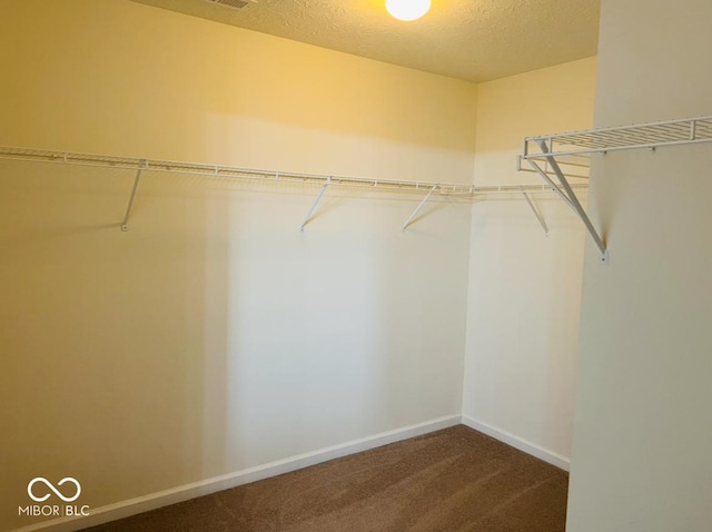 spacious closet with carpet floors