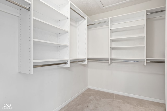 11866 Weathered Edge Dr, Fishers, IN 46037 - spacious closet with carpet floors