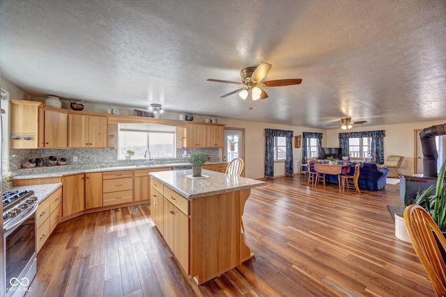 kitchen with stainless steel gas stove, light brown cabinets, and wood finished floors