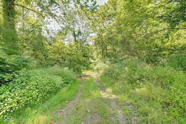 view of nature featuring a wooded view