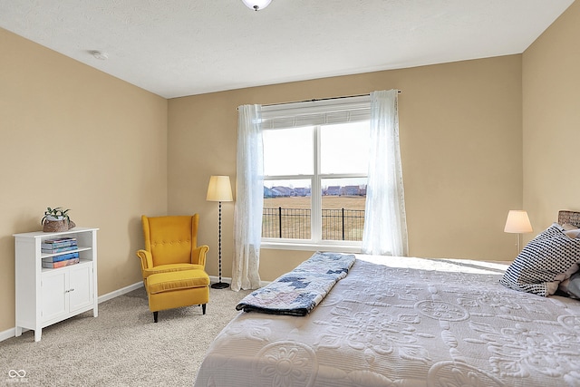 bedroom with a textured ceiling, baseboards, and carpet floors