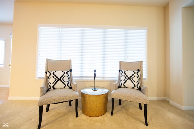 living area featuring carpet floors and baseboards