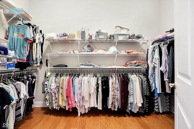 walk in closet with wood finished floors