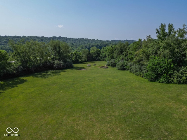 view of yard featuring a forest view